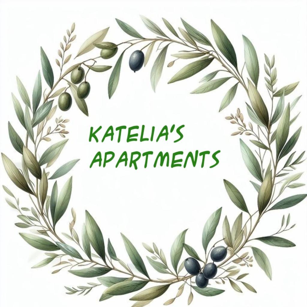Katelia'S Apartments Almiropótamos Quarto foto